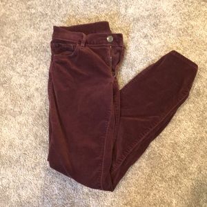 LOFT Modern Straight Cords